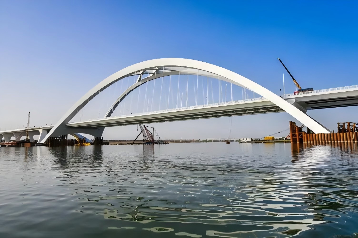 ������������Ӫ�� | ��Σ����֤�������������������������������ס�ˣ�